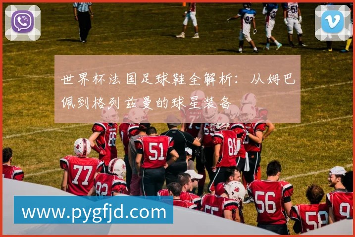 世界杯法国葡萄牙对决：齐达内与菲戈的传奇谢幕之战解析