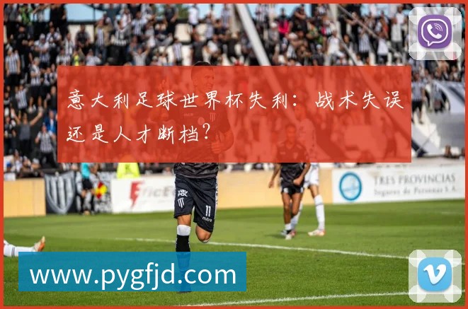 意大利足球世界杯失利:战术失误还是人才断档?