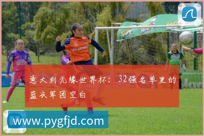 意大利无缘世界杯:32强名单里的蓝衣军团空白