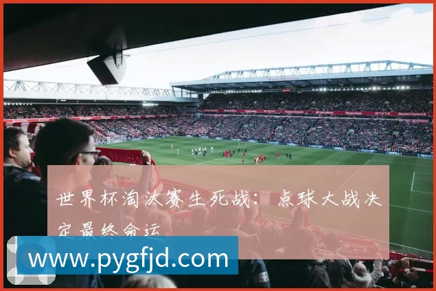 意大利问鼎2021年世界杯：关键战役与夺冠时刻回顾
