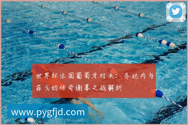 世界杯法国葡萄牙对决:齐达内与菲戈的传奇谢幕之战解析