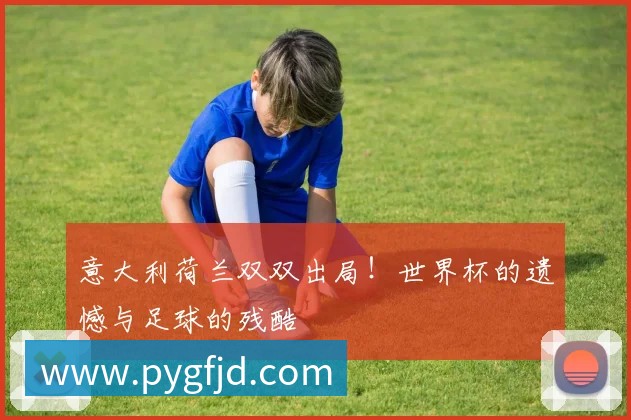 意大利荷兰双双出局！世界杯的遗憾与足球的残酷
