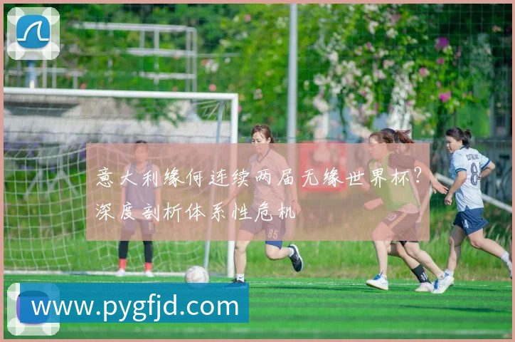 意大利缘何连续两届无缘世界杯?深度剖析体系性危机